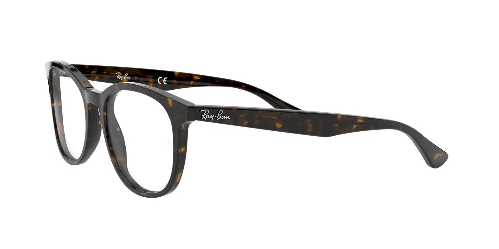 Ray-Ban 5356 Eyeglasses - view 29